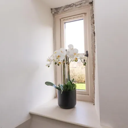 The Old Cobblers 度假居 斯基普顿